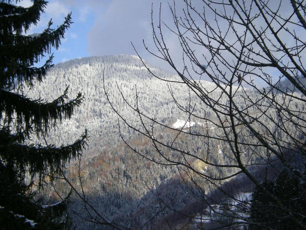 Le Caribou Villa Saint-Gervais-les-Bains Luaran gambar